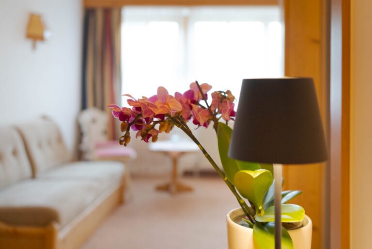 Familienappartement »Schönleiten«